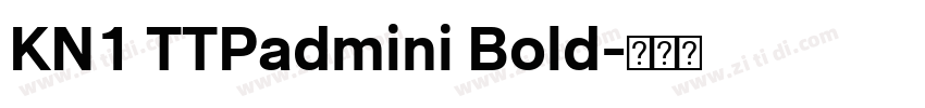 KN1 TTPadmini Bold字体转换 KN1 TTPadmini Bold字体转换